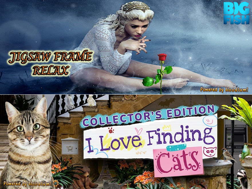 I Love Finding Cats Collector's Edition