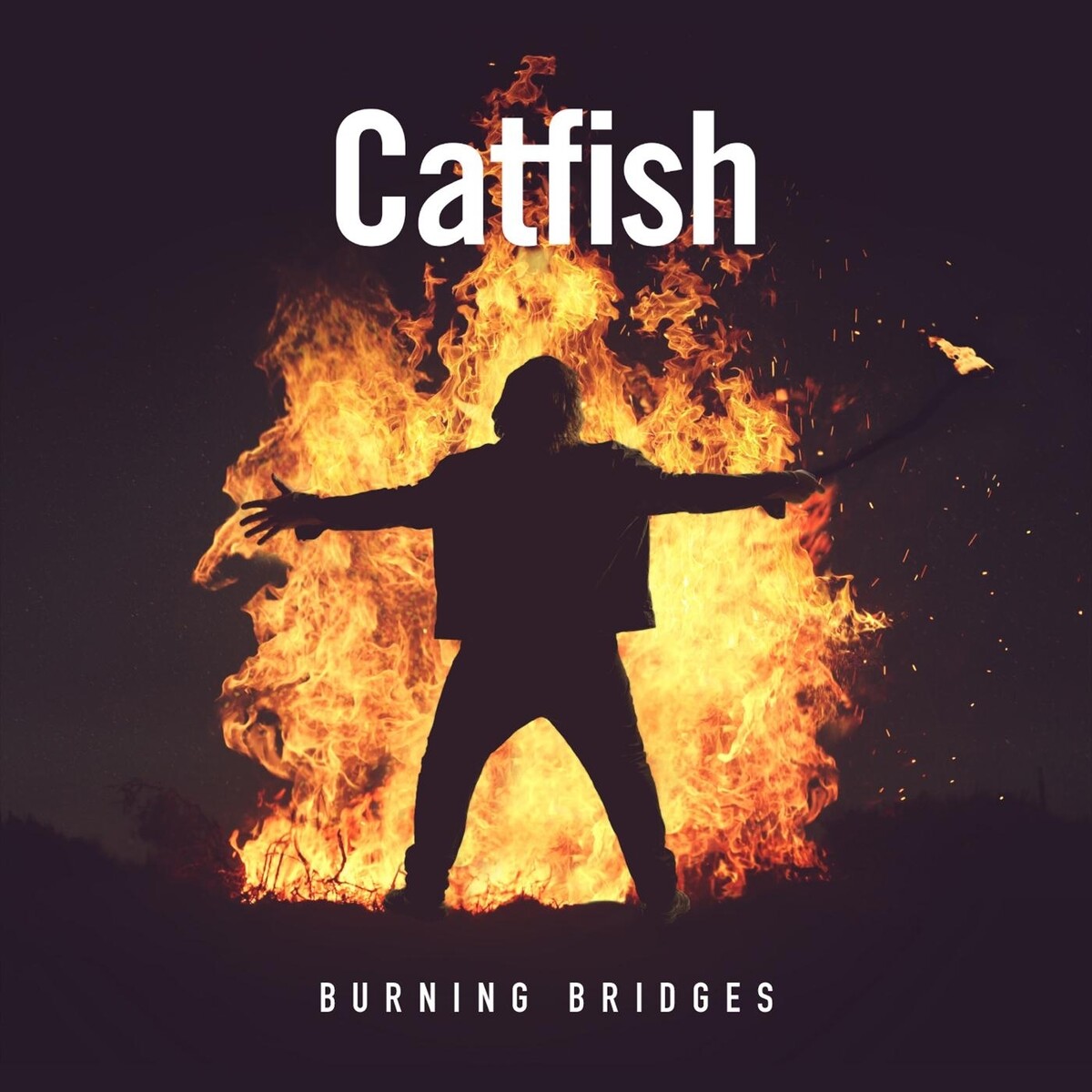 Catfish - 2019 - Burning Bridges (Blues Rock) (flac)