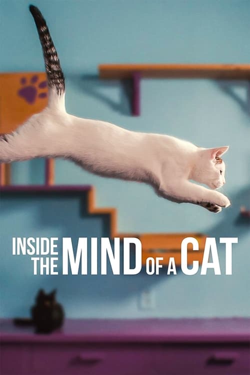 Inside The Mind Of A Cat 2022 1080p WEBRip 5 1-LAMA