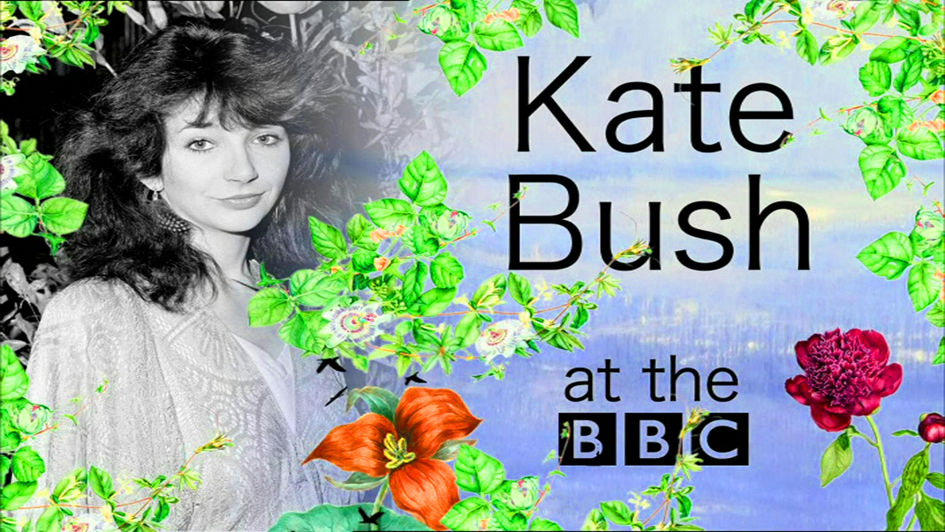 Kate Bush Bij De BBC 1978-1994 GG NLSUBBED 1080p WEB x264-DDF