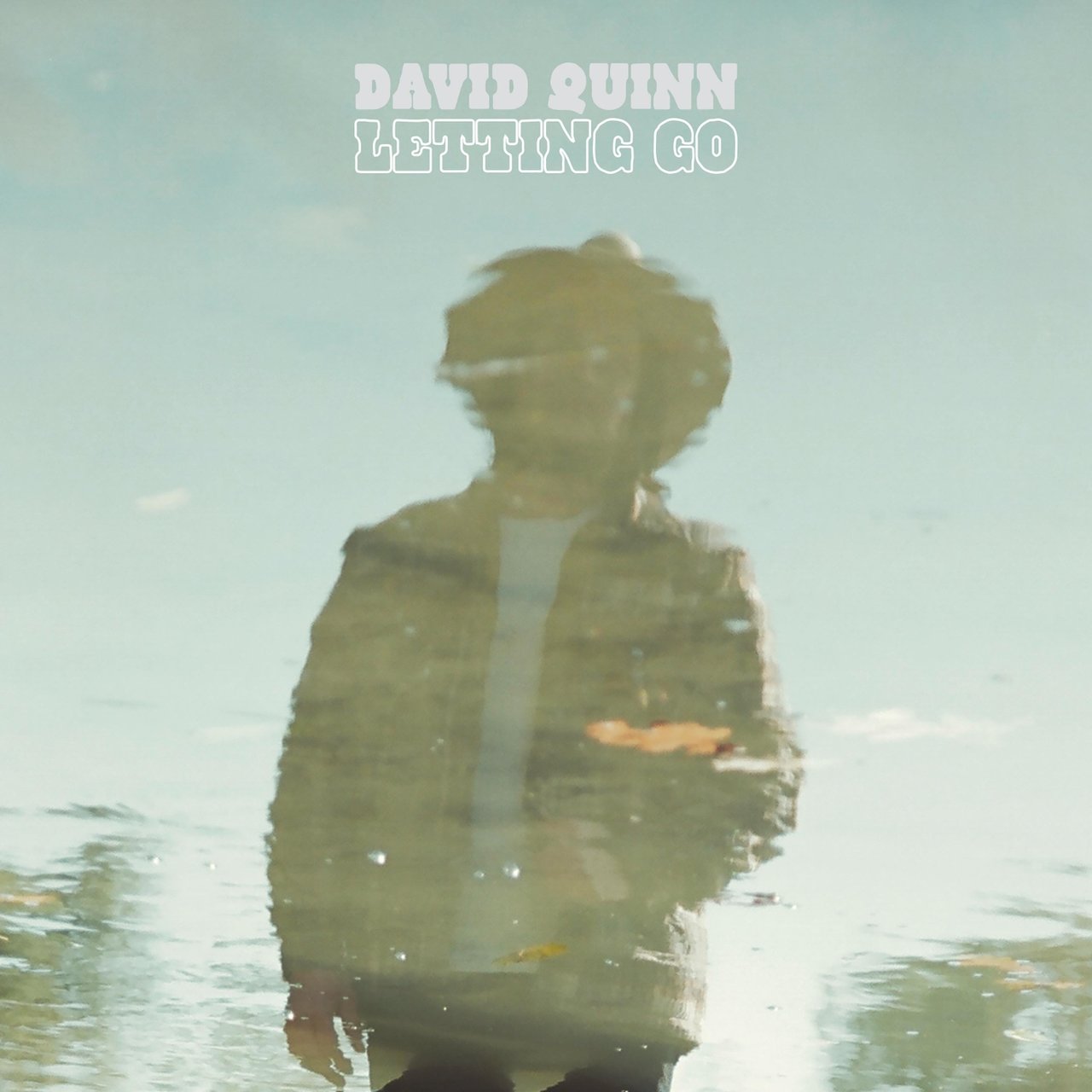 David Quinn · Letting Go (2020 · FLAC+MP3)