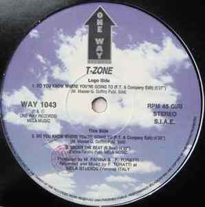 T-Zone - Do You Know Where Youre Going To-WEB-1995-iDC