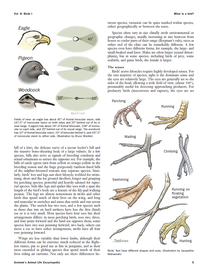 Grzimek's Encyclopedia 2nd Ed. - Vol. 8 - Birds I