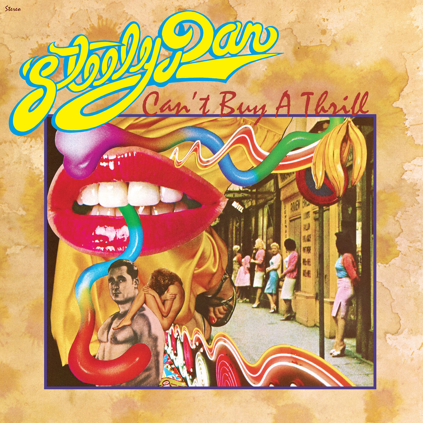 Steely Dan - Can't Buy A Thrill [24-192]