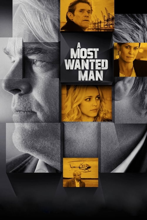 A Most Wanted Man 2014 1080p AMZN WEB-DL DDP 5 1 H 264-PiRaTeS