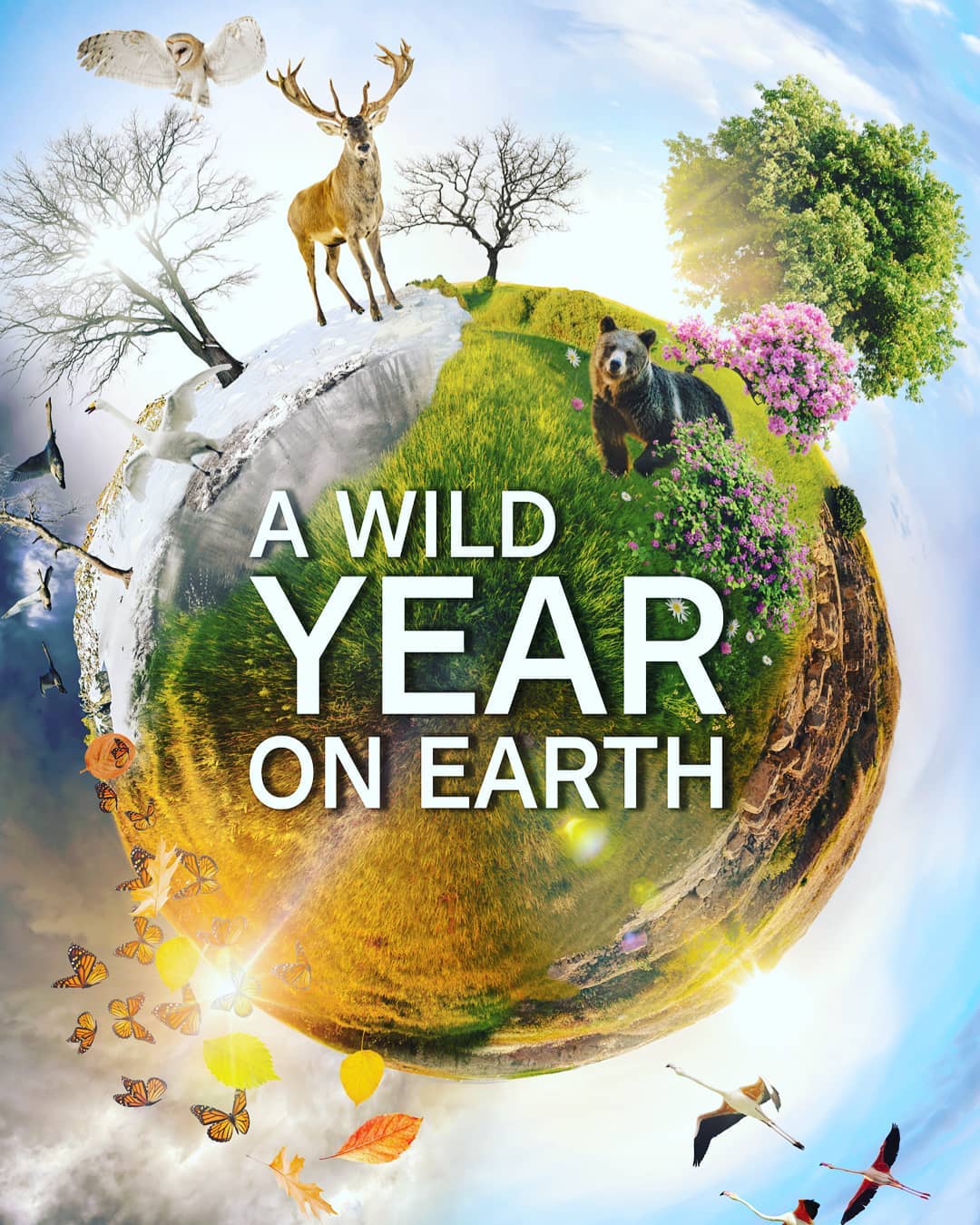 A Wild Year On Earth - S01E05 - Een tijd van activering - NL Subs - Sept.+Okt.