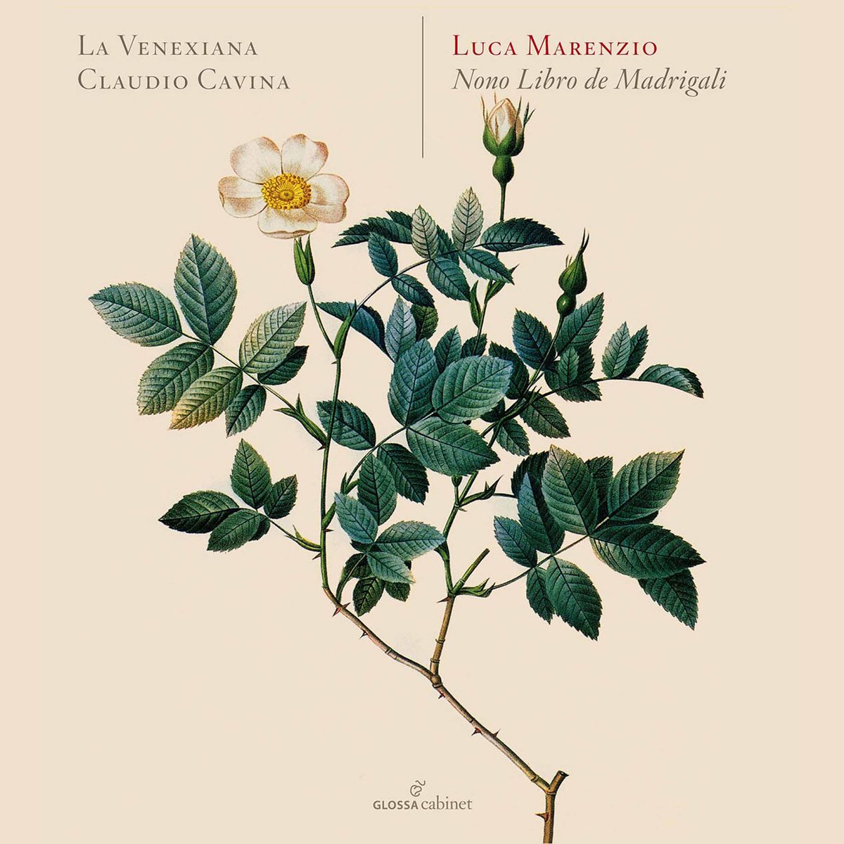 Marenzio - Madrigali á 5 voci, Libro 9 (Excerpts) - La Venexiana