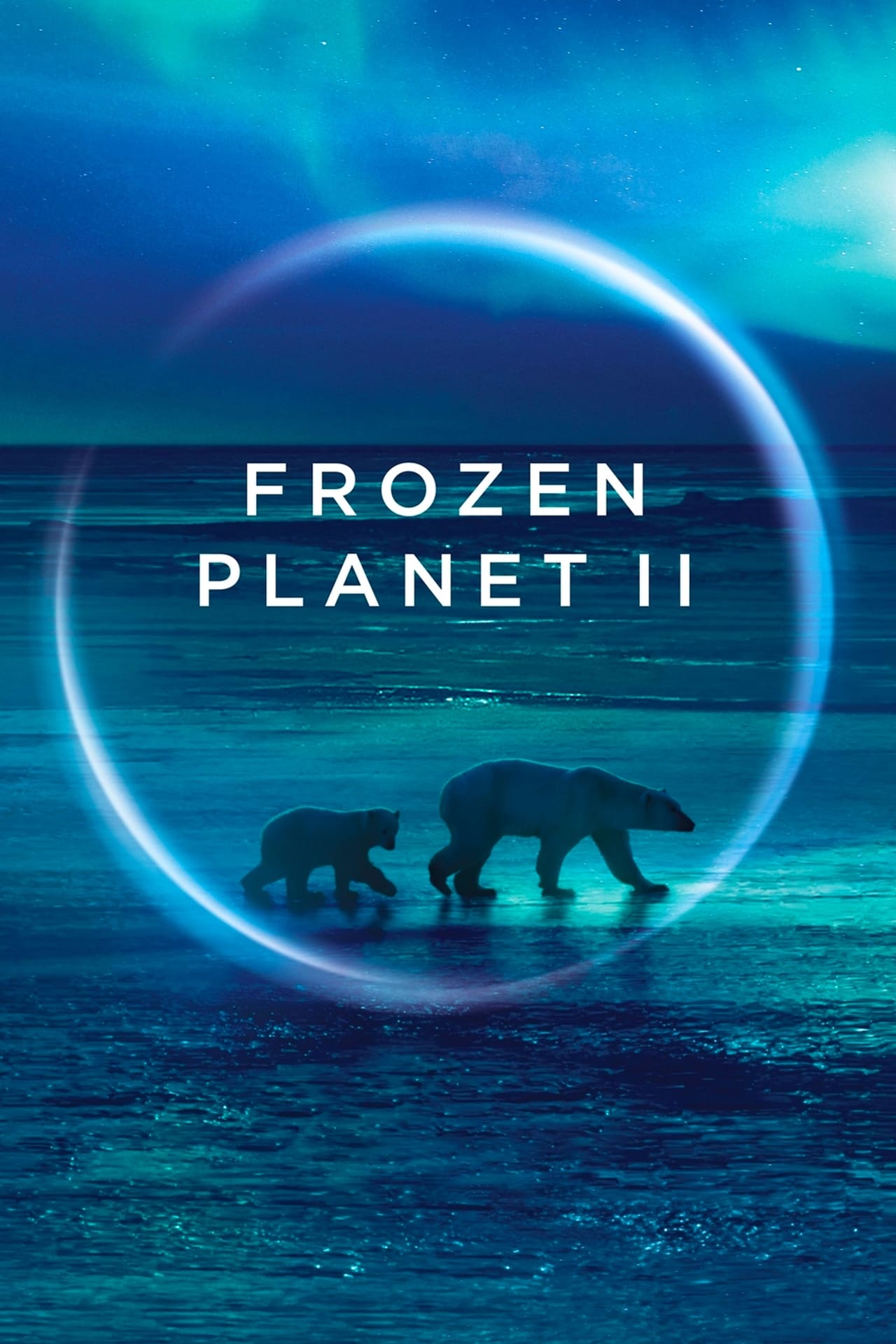 Frozen Planet II (2022) - S01E01+02.1080p.WEBRip.x264 (NLsub)