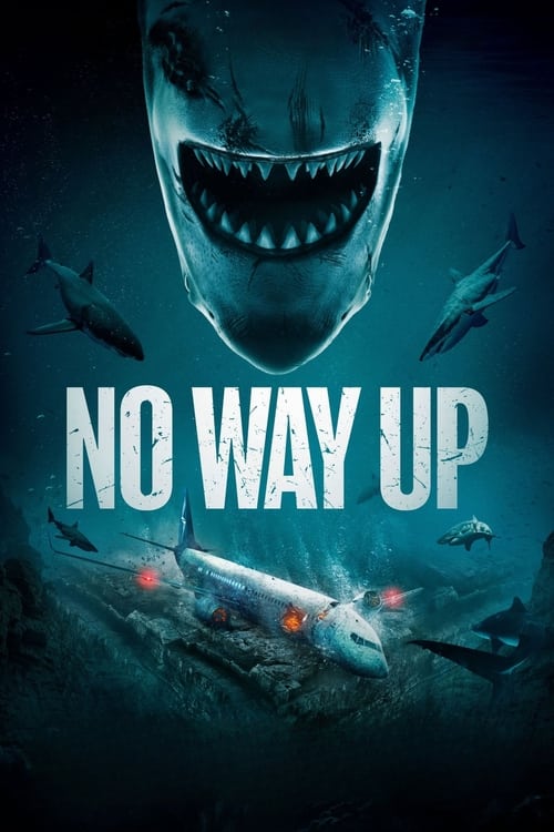 No Way Up 2024 BluRay 1080p DD 5 1 x264-BHDStudio
