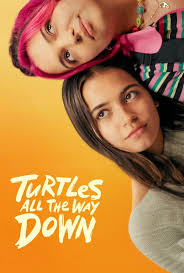 Turtles All The Way Down 2024 1080p WEB-DL EAC3 DDP5 1 Atmos H264 Multisubs