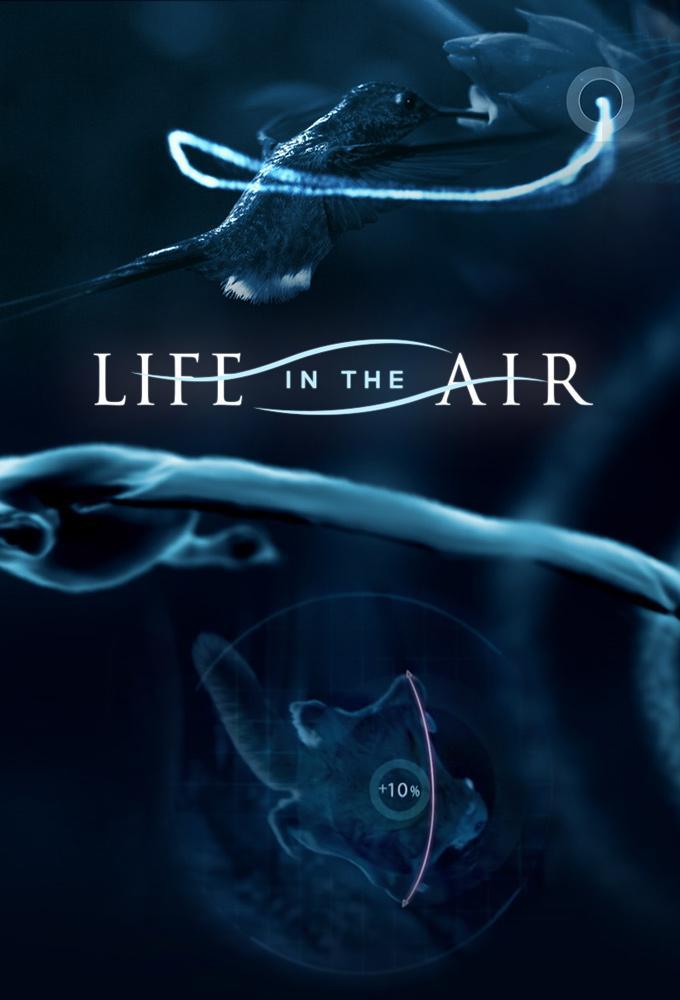 BBC Life In The Air S01 DUTCH 720p WEB x264-DDF