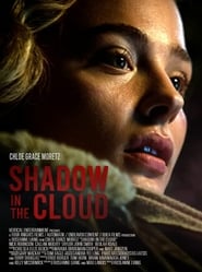 Shadow in the Cloud 2020 720p BluRay DTS x264-PbK