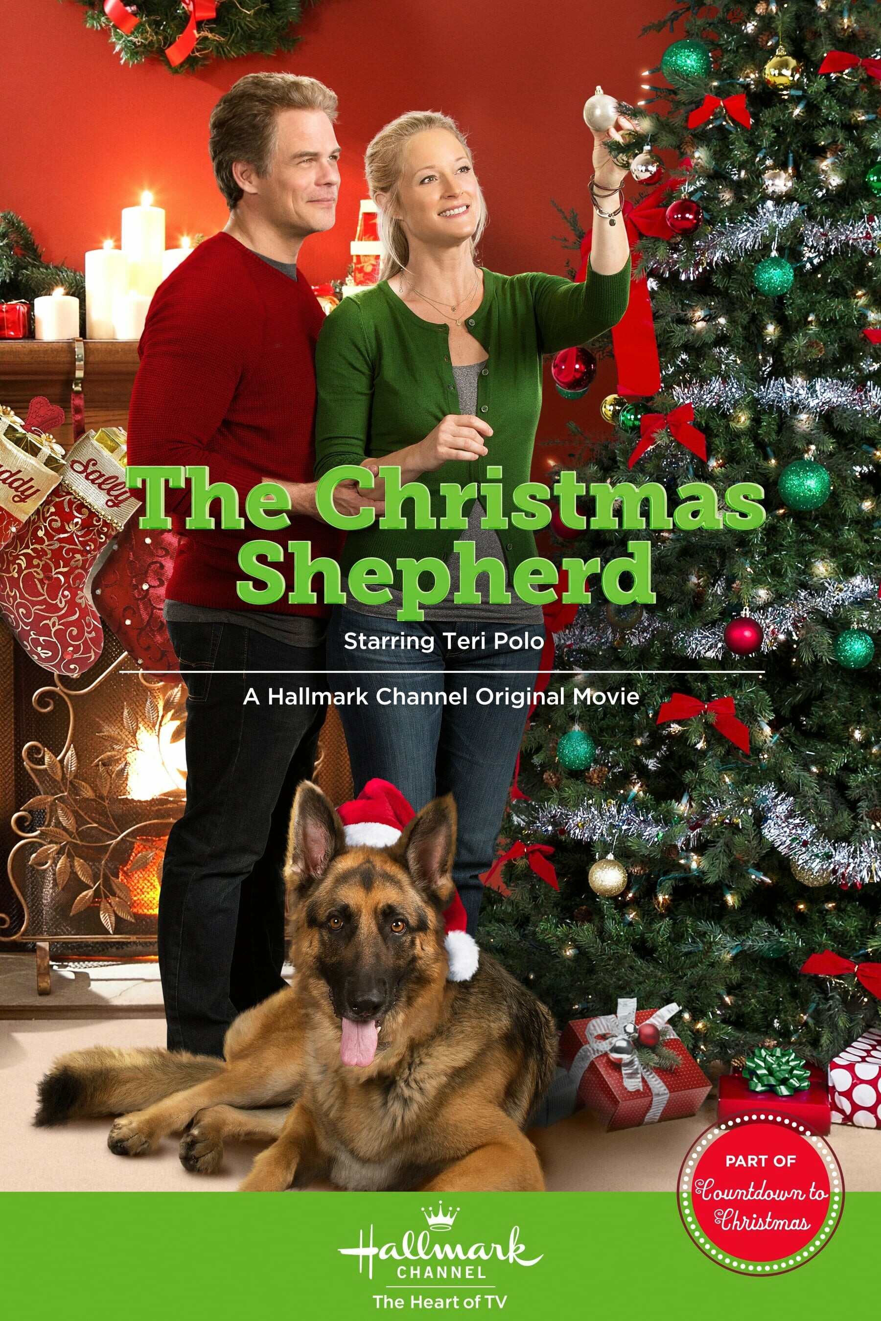 The Christmas Shepherd 2014 1080p AMZN WEB-DL DDP5 1 H 264-MERRY