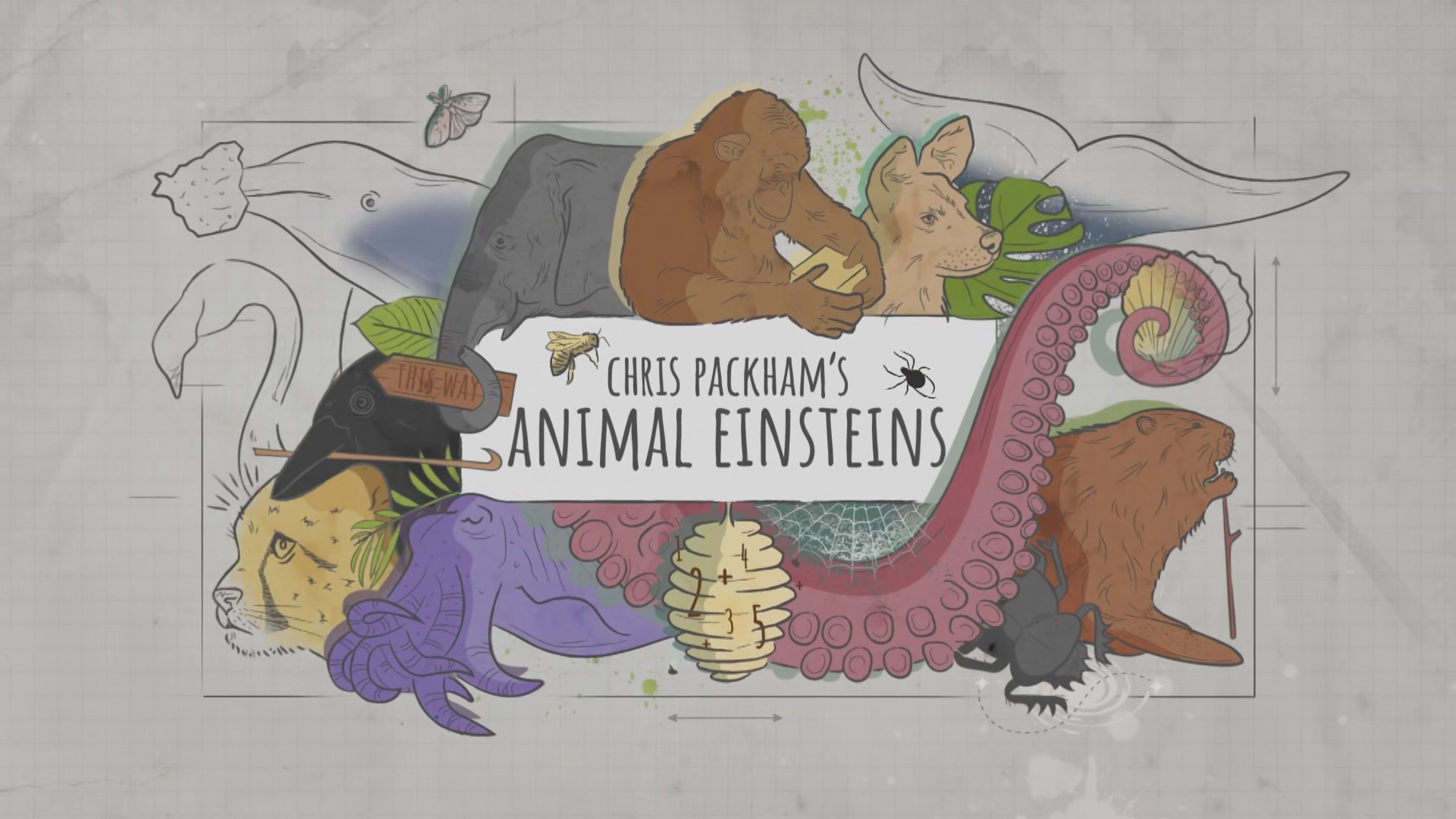 BBC Chris Packhams Animal Einsteins 1080p alle 6 afleveringen