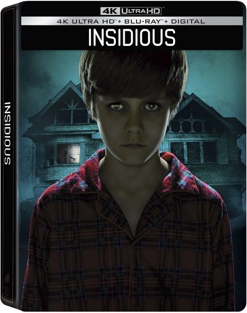 Insidious (2010) BluRay 2160p DV HDR TrueHD AC3 HEVC NL-RetailSub REMUX