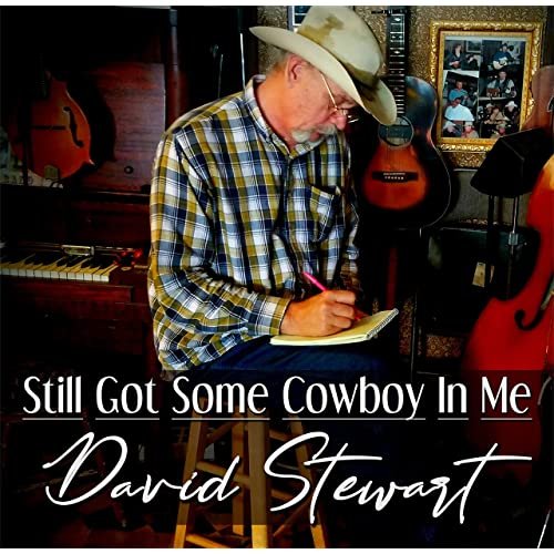 David Stewart · Still Got Some Cowboy In Me (2022 · FLAC+MP3)