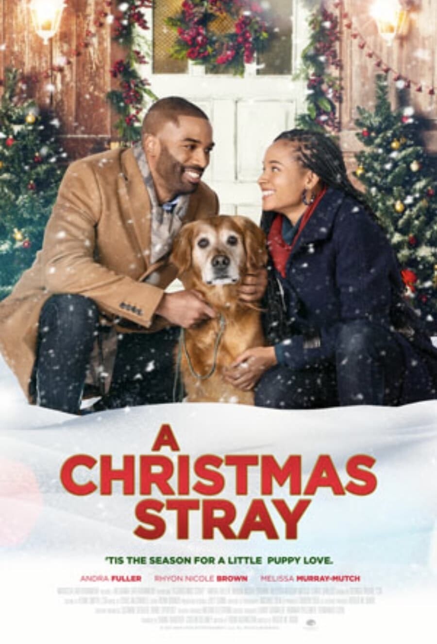 A Christmas Stray 2021 720p WEB-DL AAC2 0 h264-LBR