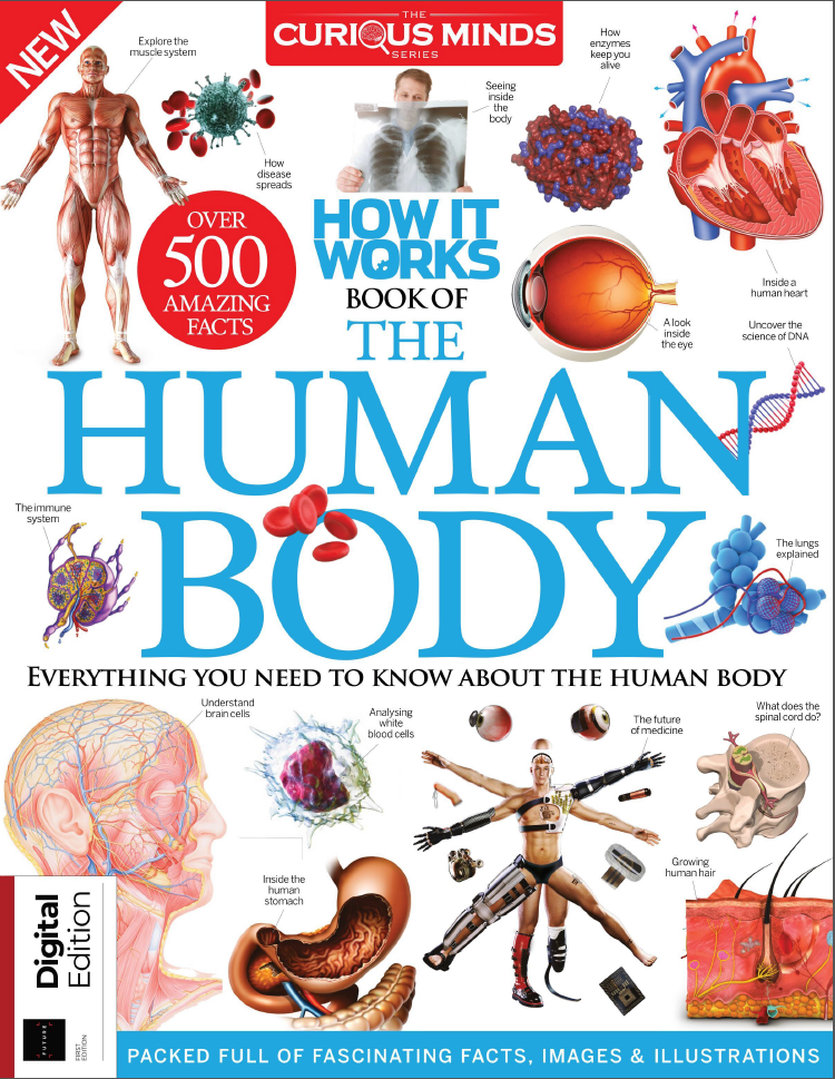 How it Works Book of The Human Body-November 2021