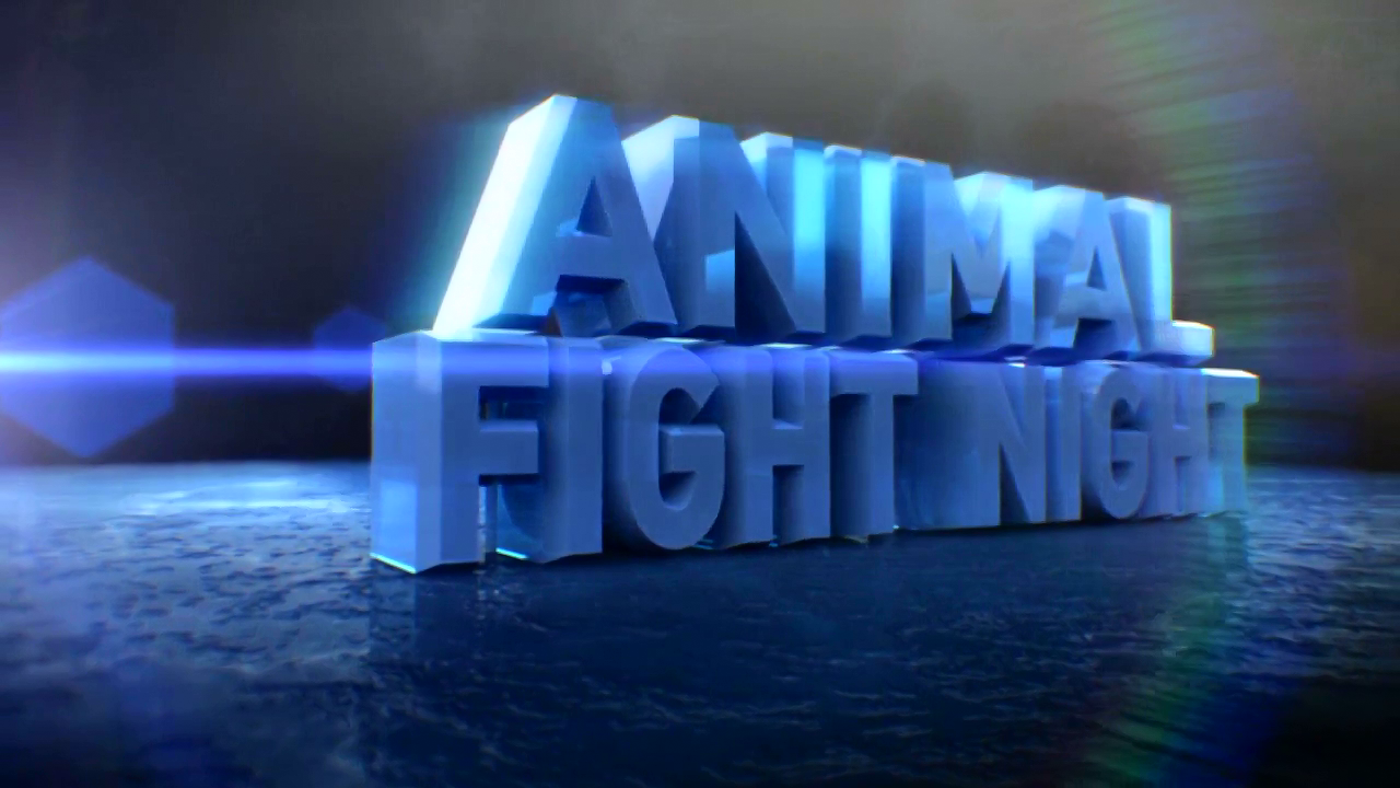 Animal Fight Night S02E03 Leopards Wild Boars Pistol Shrimp 720p