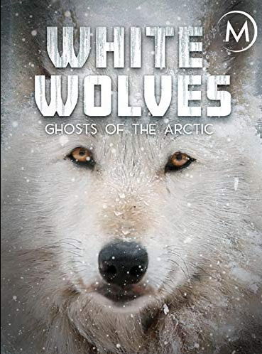 White Wolves Ghosts of the Arctic 2018 2160p