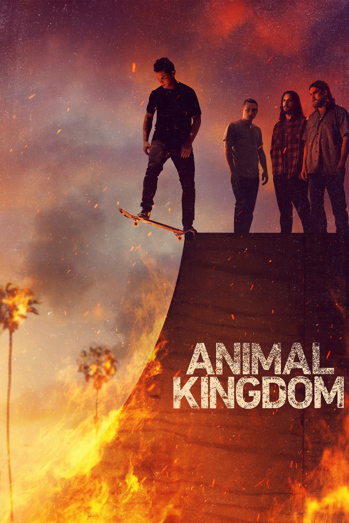 REPOST Animal Kingdom TV Series (2016–2022) Seizoen 01 Complete.BDRipx265 NL
