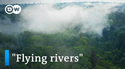 Flying rivers, the waters of the amazon