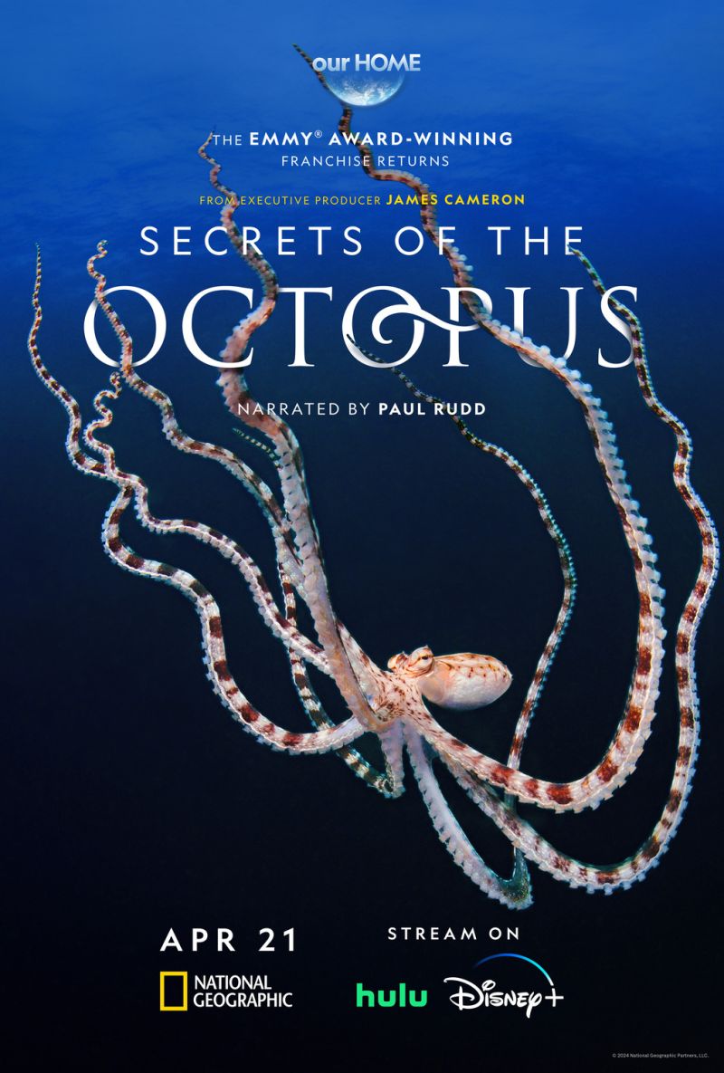 Secrets of the Octopus S01 1080p DSNP WEB-DL DDP5 1 H 264-GP-TV-NLsubs
