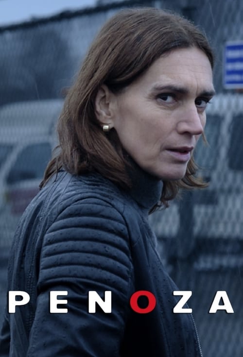Penoza - 5 seizoen *Complete serie* X265