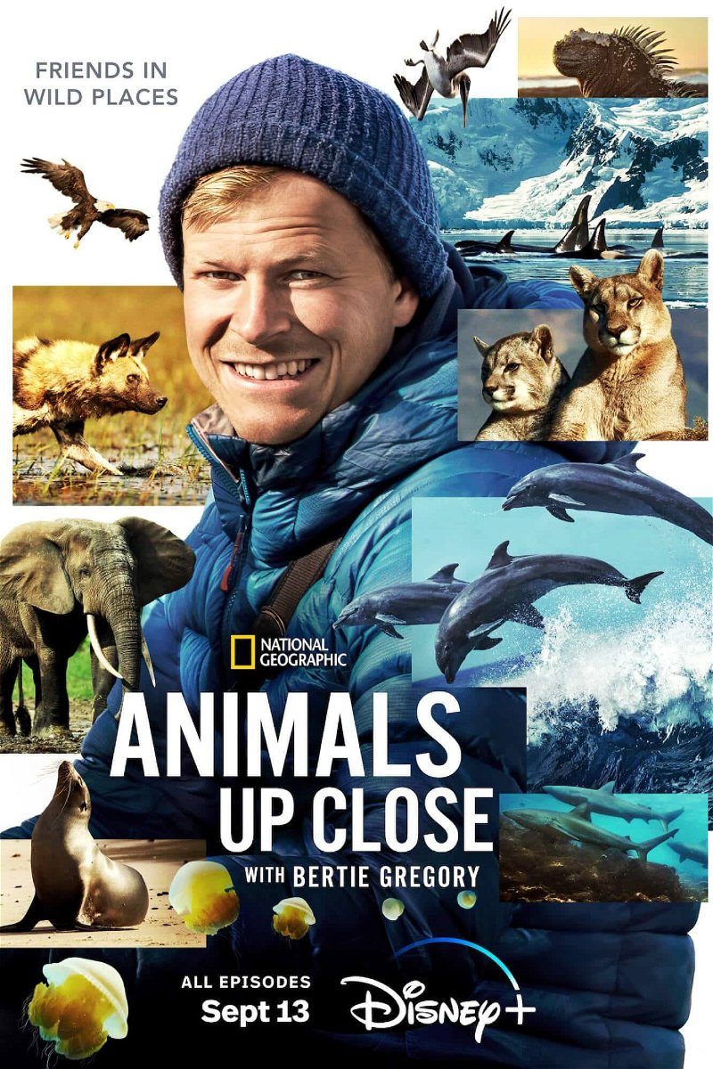 Animals Up Close with Bertie Gregory (2023) Seizoen 01 - 2160p WEB-DL DDP5 1 HDR DV HEVC (NLsub)