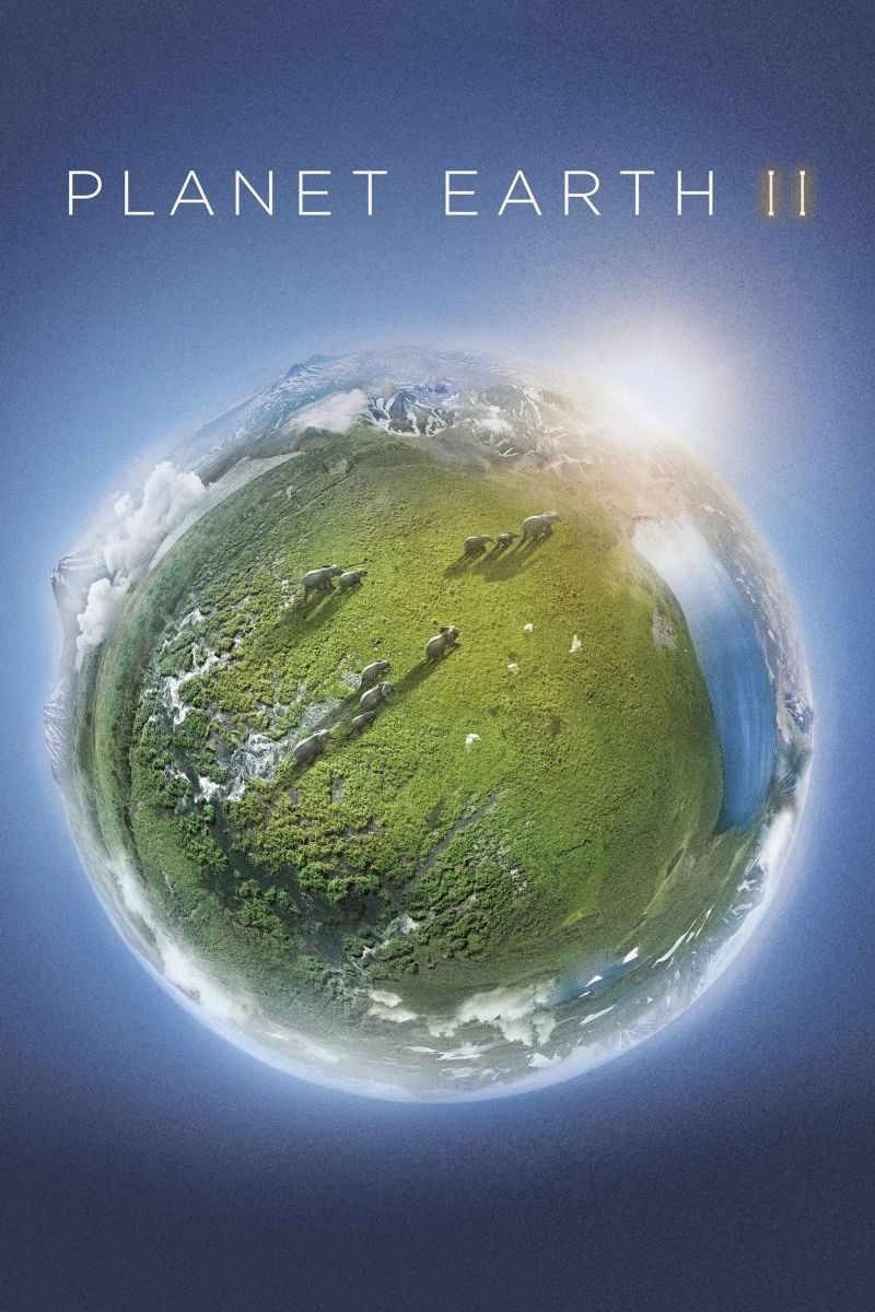 Planet Earth II - Episode 05  Grasslands - 2160p DTS-HD MA 5 1 HEVC Remux (NLsub)