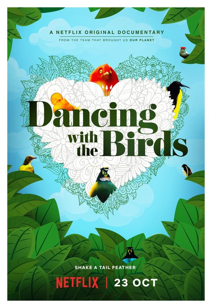 Dancing with the Birds (2019) - 2160p WEB DDP5 1 x265 (Retail NLsub)