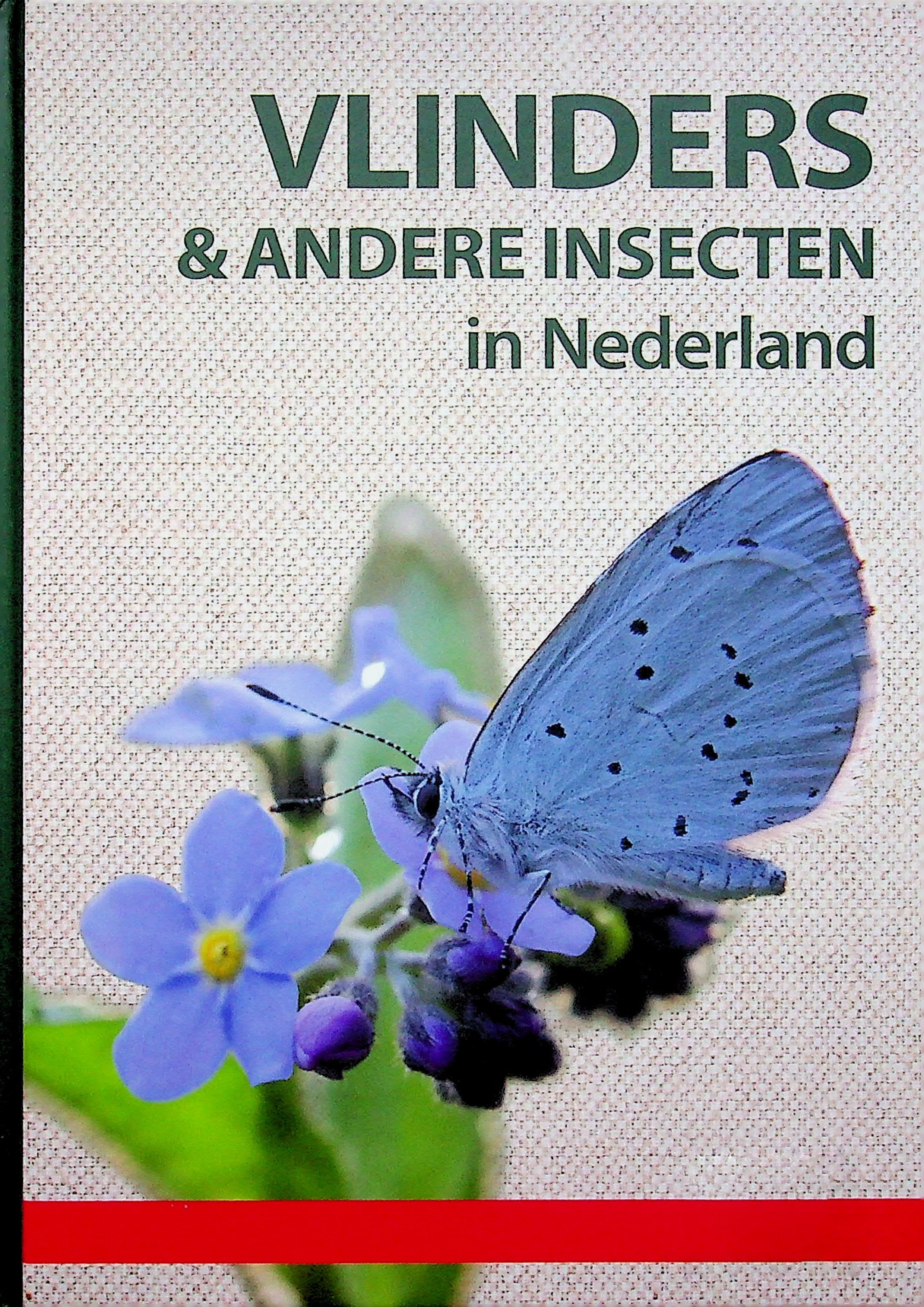 Vlinders en andere insecten in nederland - Paul Sterry,Andrew Mackay,George C. McGavin 2023