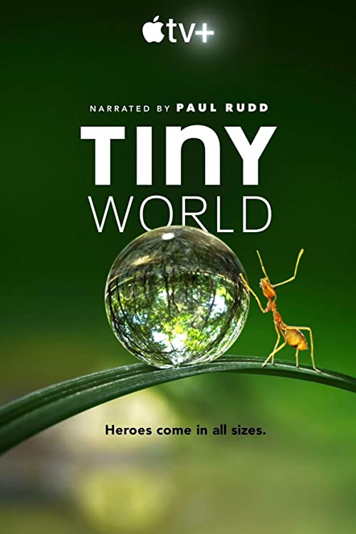 Tiny World (2020) - Seizoen 02 - 2160p WEB-DL DDP5 1 HDR H 265 (Retail NLsub)