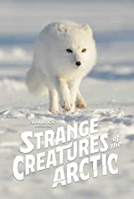 Strange Creatures of the Arctic 2022 1080p AMZN WEB-DL DDP2 0 H 264-NPMS