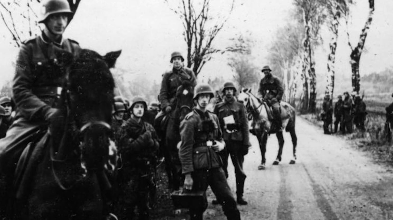 The Dutch Volunteer Legion on the Eastern Front – Dutch Waffen-SS Volunteers during World War II