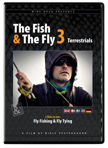 The Fish & The Fly 3 (terrestrials)