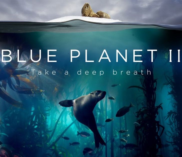 (BBC) Blue Planet II (2017) 05  Green Seas - Remux 2160p UHD HDR HEVC DTS-HD MA 5 1 (NLsub)