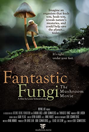 Fantastic Fungi 2019 1080p x265 AAC MVGroup org