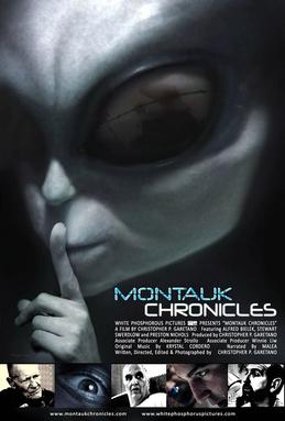 Montauk Chronicles (2015)