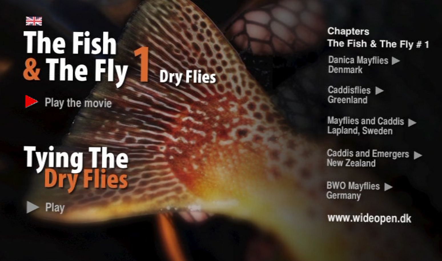 The Fish & The Fly 1 (dry-fly)