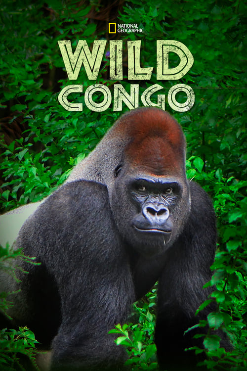 Wild Congo (2014) - Seizoen 01 - 1080p WEB-DL DD+5 1 H 264 (Retail NLsub)