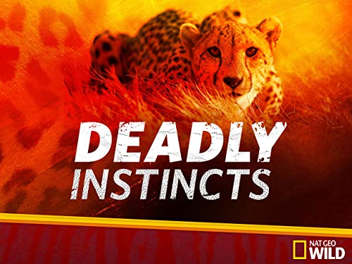 Deadly Instincts (2015) - S01 1080p WEB-DL DDP5 1 H 264 (Retail NLsub)