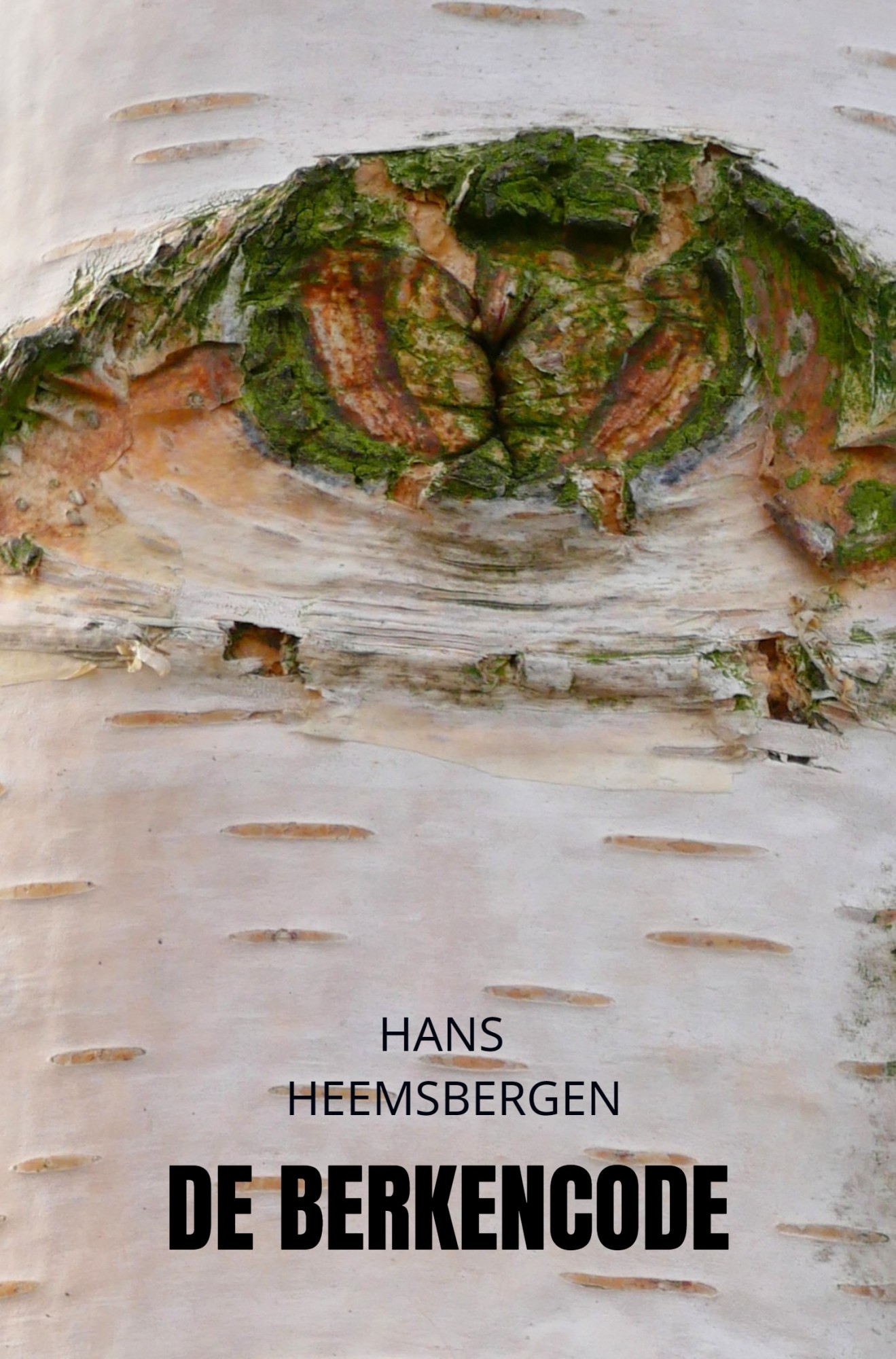 Heemsbergen, Hans-De Berkencode