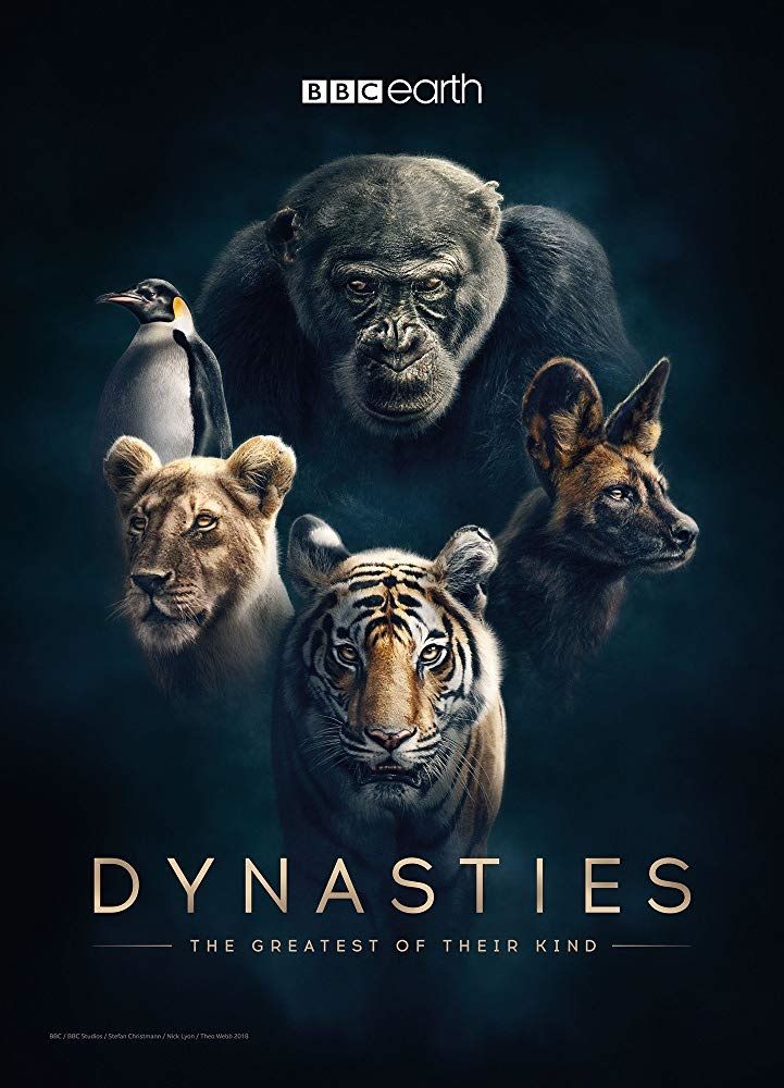 Dynasties (2018) 01 Chimpanzee - 2160p UHD Remux HDR HEVC TrueHD7 1 Atmos (NLsub)