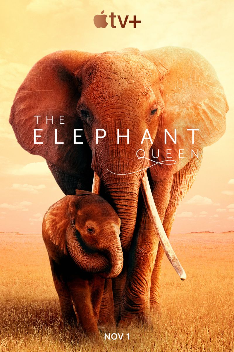 The Elephant Queen (2019) HDR 2160p WEB H265 DDP 5 1 (NLsub)