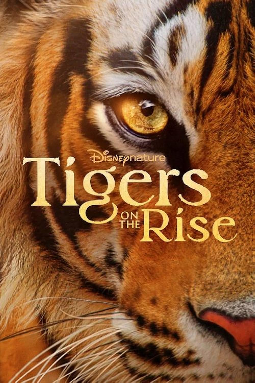 Tigers on the Rise 2024 1080p WEB H264-RABiDS