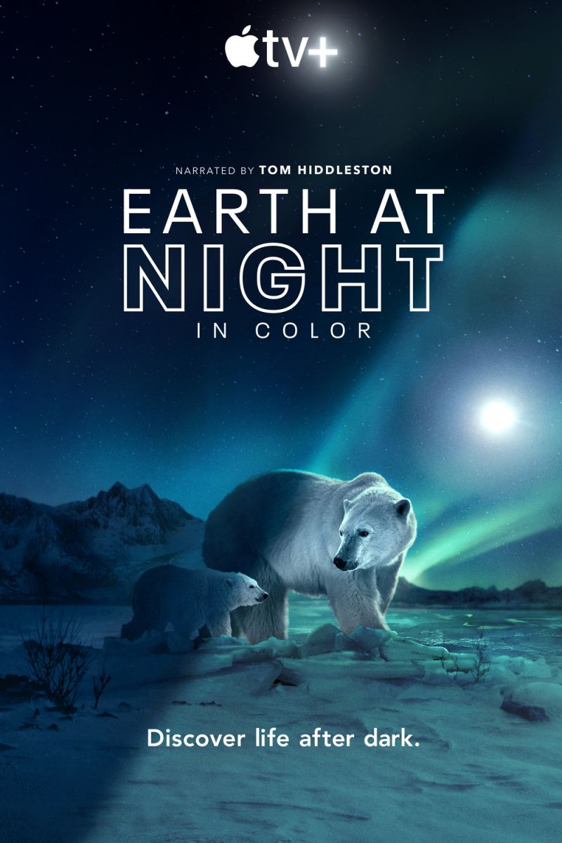 Earth at Night in Color (2021) - Seizoen 02 - 2160p WEB-DL DDP5 1 HDR HEVC (Retail NLsub)