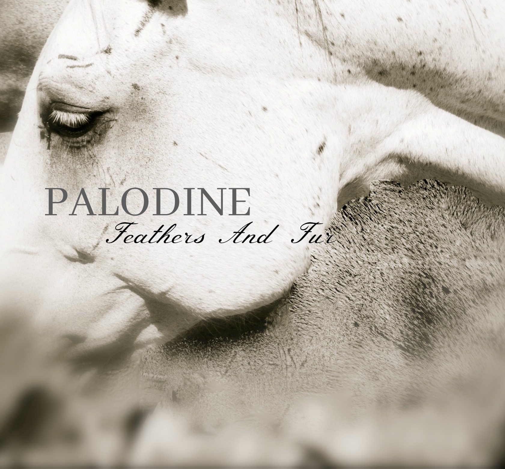 Palodine discography (2006-2022)