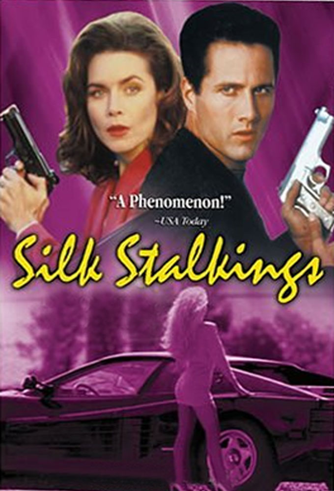 Silk Stalkings S01E03 1080p WEB h264-SKYFiRE