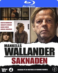 Wallander 30 Saknaden 2013 SWEDiSH REMUX 1080p BluRay